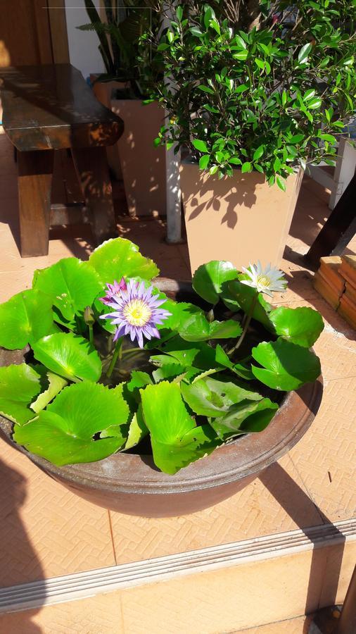 Savika Guesthouse Ranong Dış mekan fotoğraf